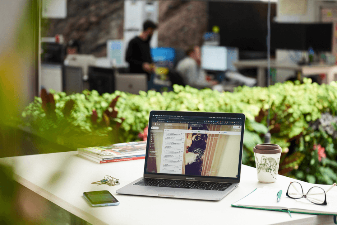 trademe10